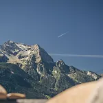 بوستريسيدينز